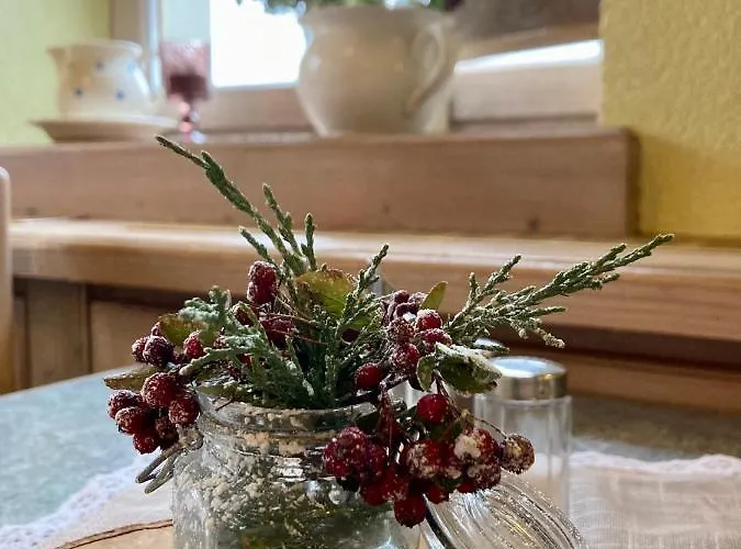 Estalagem Wohlfuehlherberge Weitblick Erlbach (Saxony)